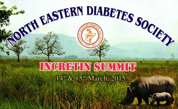 North Eastern Diabetes Society, Incretin Summit 2015